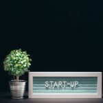 17k revenue first year doing e-commerce